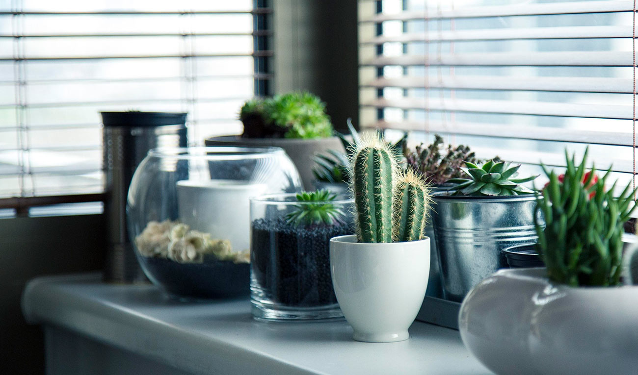 Tendencias en decoración de interiores 2025: colores, estilos y materiales